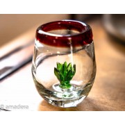 Verres à shot