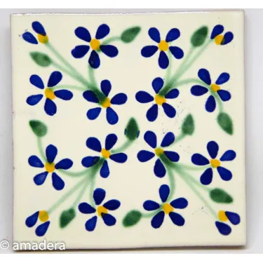 Carrelage azulejos émaillé