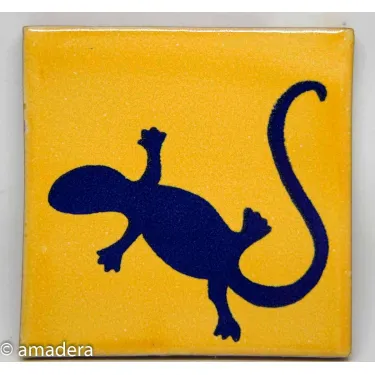 Azulejos carrelage faience