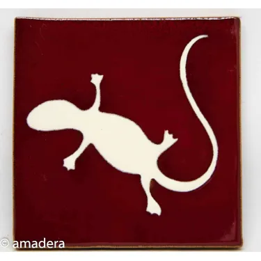 Carrelage mexicain