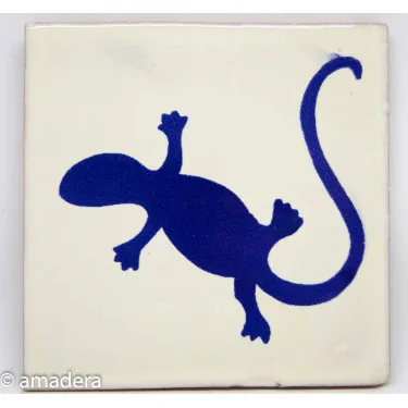 Azulejos carrelage mexicain