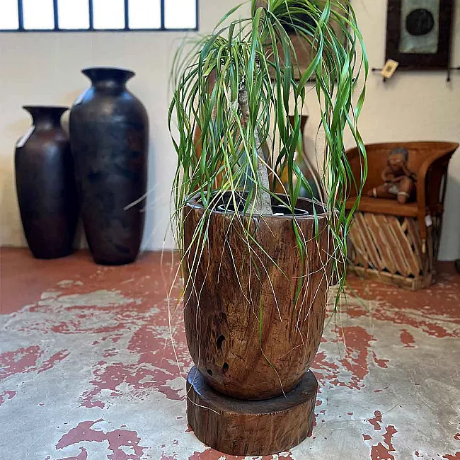 cache-pot en bois ancien pour vos plantes d'intérieur