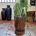 cache-pot en bois ancien pour vos plantes d'intérieur