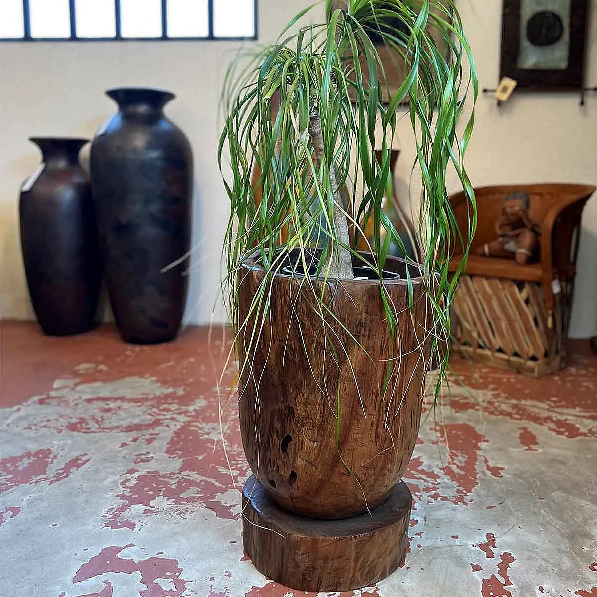 Transformez votre décoration avec ce cache pot en bois unique