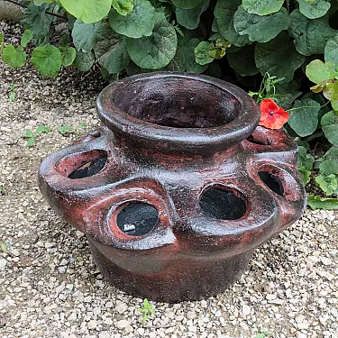 pot de jardin en terre cuite pour vos aromates