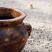 Pot en terre cuite non gélif décoration jardin