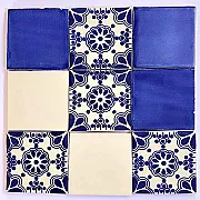 azulejos carrelage mural pour l'intérieur et l'exterieur