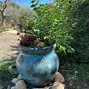 pot-terre-cuite-pour-planter-en-exterieur-non-gelif