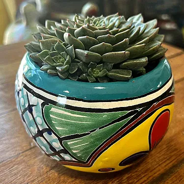 Petit poterie céramique colorée - Pot à cactus