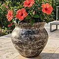 pot en terre cuite non gélive - Poterie pour planter