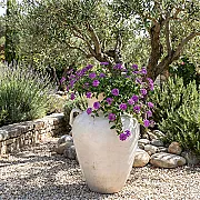 jarre en terre cuite non gélive - Décoration jardin