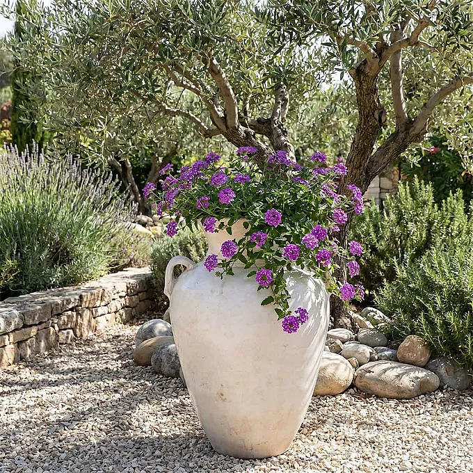 jarre en terre cuite non gélive - Décoration jardin