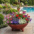Jardinière en terre cuite non gélive - Décoration jardin