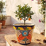 Pot céramique déco jardin - Non gélif