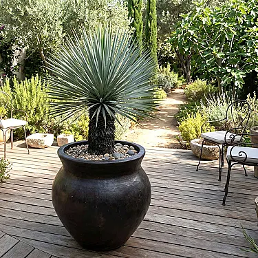 Gros pot terre cuite non gélif - Déco jardin