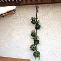 Suspension petits pots terre cuite - Déco murale