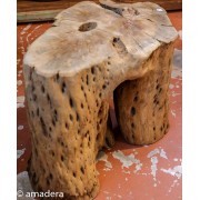 Bois flotté cactus - Souche pour plateau de table